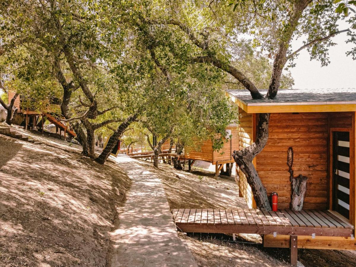 Boskenvid Hotel Boutique, Skypool Valle de Guadalupe Bagian luar foto