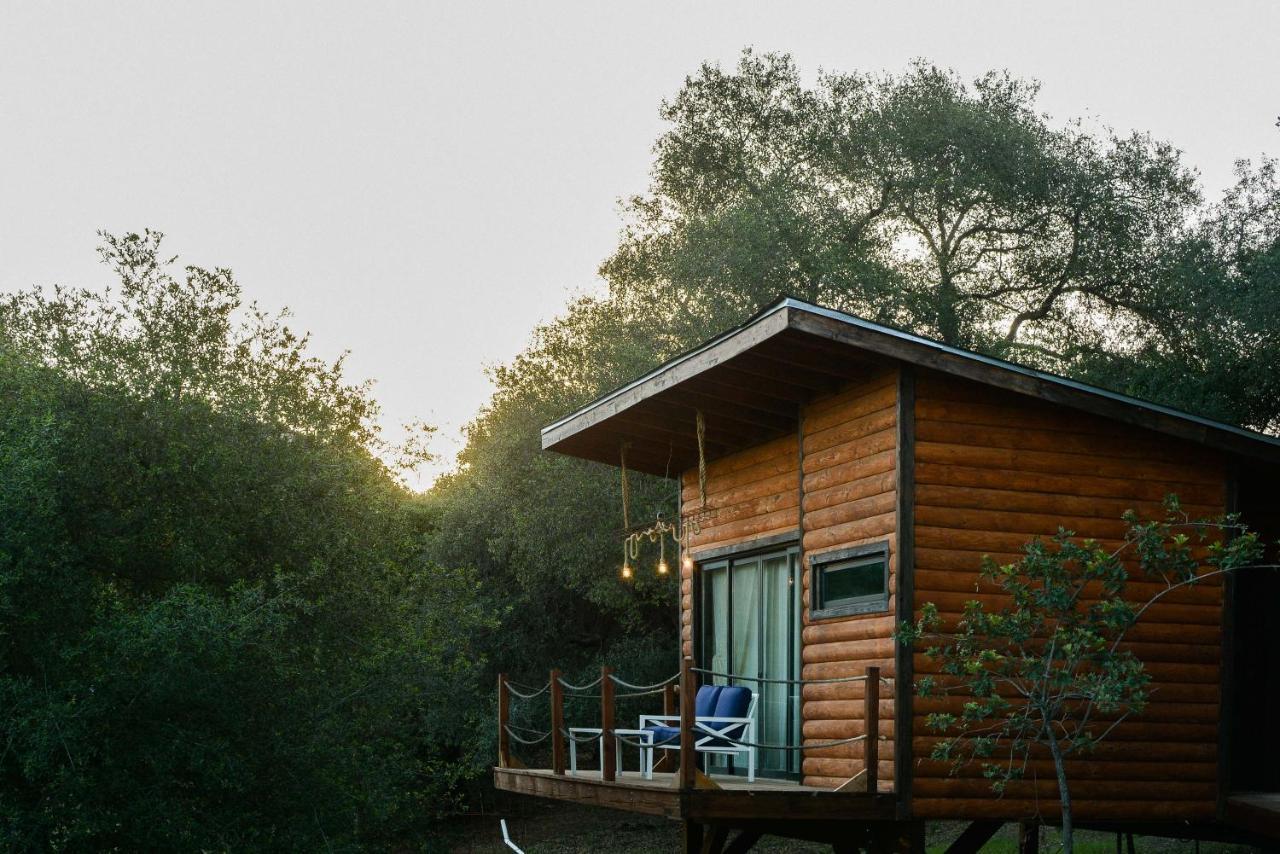 Boskenvid Hotel Boutique, Skypool Valle de Guadalupe Bagian luar foto